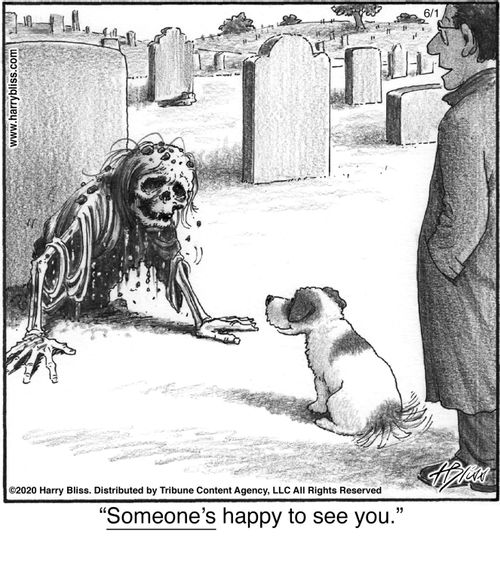 "Someone’s happy to see you."