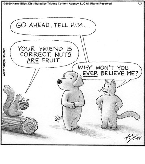 "Go ahead, tell him... Your friend is correct. Nuts are fruit. Why won't you ever believe me?"