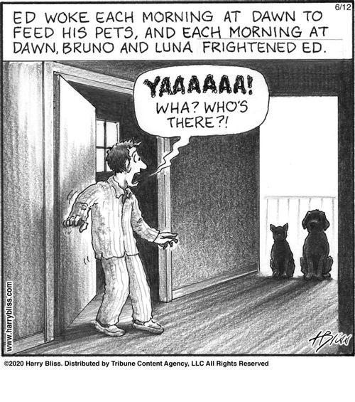 "Ed woke each morning at dawn to feed his pets, and each morning at dawn, Bruno and Luna frightened Ed.  Yaaaaa! Wha? Who's there?!"