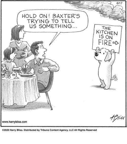 "Hold on! Baxter's trying to tell us something..."  "The kitchen is on fire"