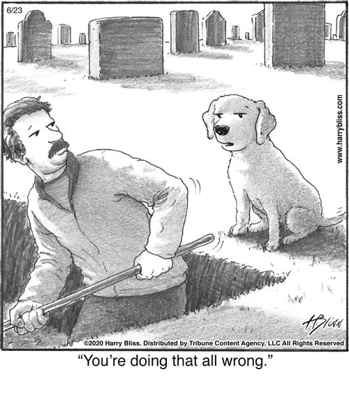 "You're doing that all wrong."
