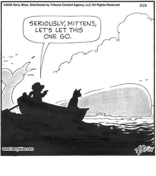 "Seriously, Mittens, let's let this one go."
