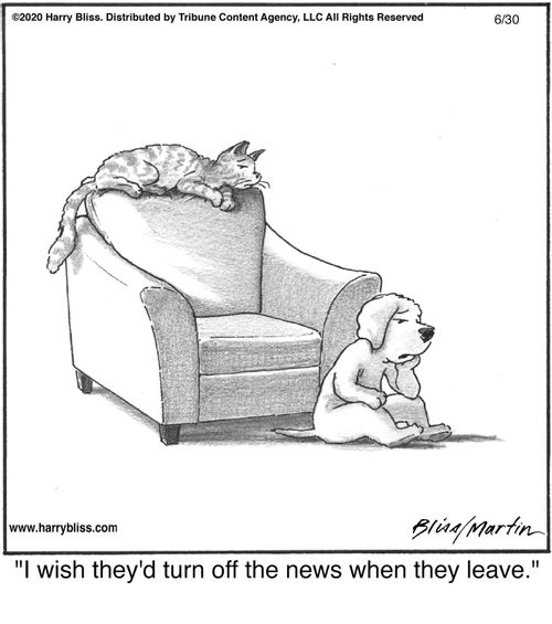 "I wish they'd turn off the news when they leave."