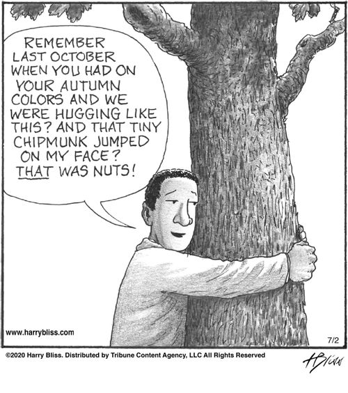 "Remember last October when you had on your autumn colors and we were hugging like this? And that tiny chipmunk jumped on my face? That was nuts!"
