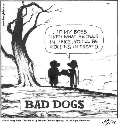 "...if my boss likes what he sees in here, you’ll be rolling in treats."