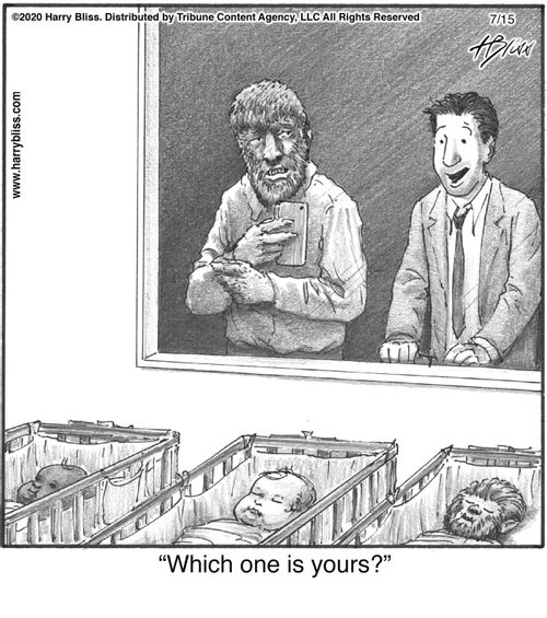 "Which one is yours?"
