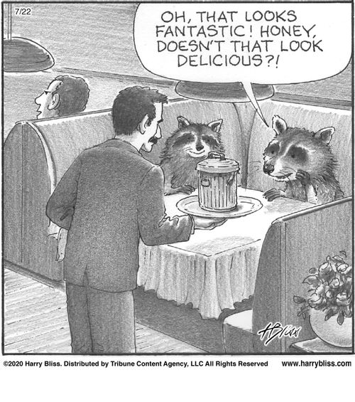 "Oh, that looks fantastic! Honey, doesn’t that look delicious?!"