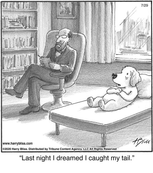 "Last night I dreamed I caught my tail."