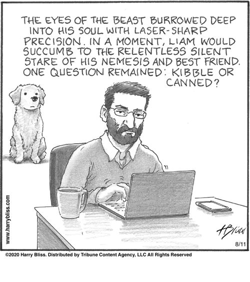 "The eyes of the beast burrowed deep into his soul with laser-sharp precision. In a moment, Liam would succumb to the relentless silent stare of his nemesis and best friend. One question remained: kibble or canned?"