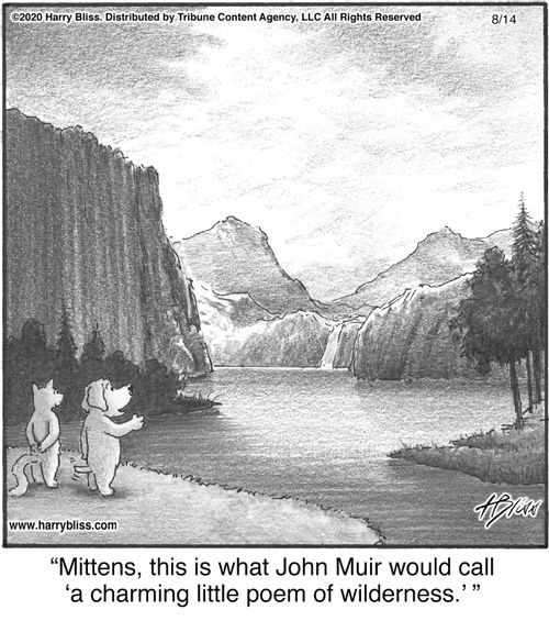 "Mittens, this is what John Muir would call 'a charming little poem of wilderness.'"