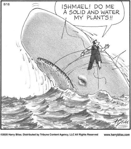 "Ishmael! Do me a solid and water my plants!!"