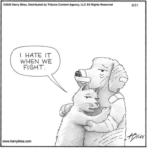 "I hate it when we fight."