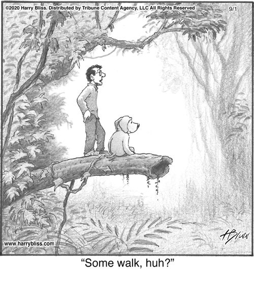 "Some walk, huh?"