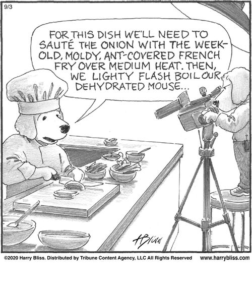 "For this dish we'll need to sauté the onion with the week-old, moldy, ant-covered French fry over medium heat. Then, we lightly flash boil our dehydrated mouse..."