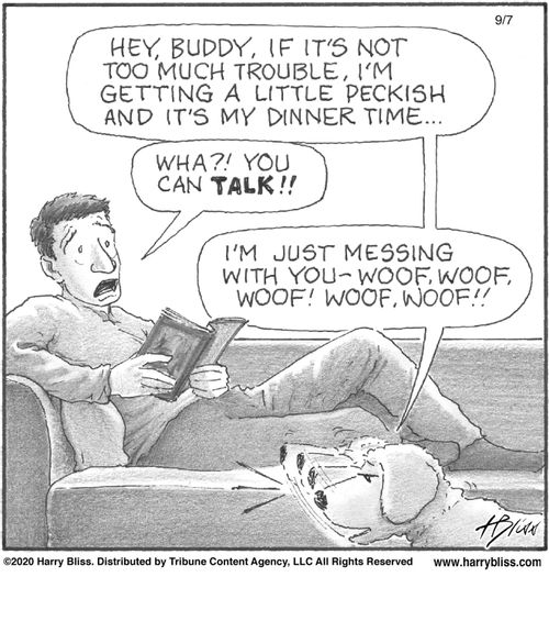 "Hey, buddy, if it's not too much trouble, I'm getting a little peckish and it's my dinner time."  "Wha?! You can talk!!"  "I'm just messing with you—woof, woof! Woof! Woof!!"
