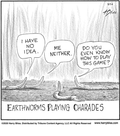 "I have no idea."   "Me neither."   "Do you even know how to play this game?"   "Earthworms playing charades."