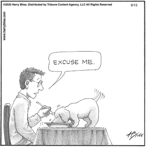 "Excuse me."