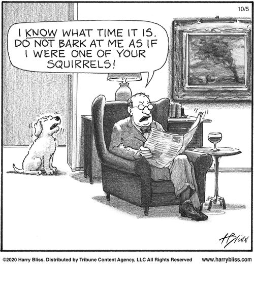 "I know what time it is. Do not bark at me as if I were one of your squirrels!"