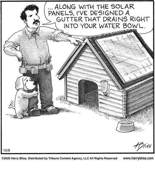 "Along with the solar panels, I've designed a gutter that drains right into your water bowl."