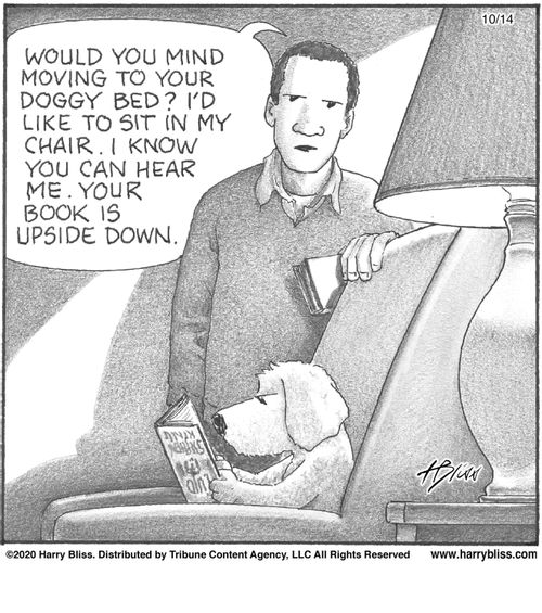 "Would you mind moving to your doggy bed? I'd like to sit in my chair. I know you can hear me. Your book is upside down."