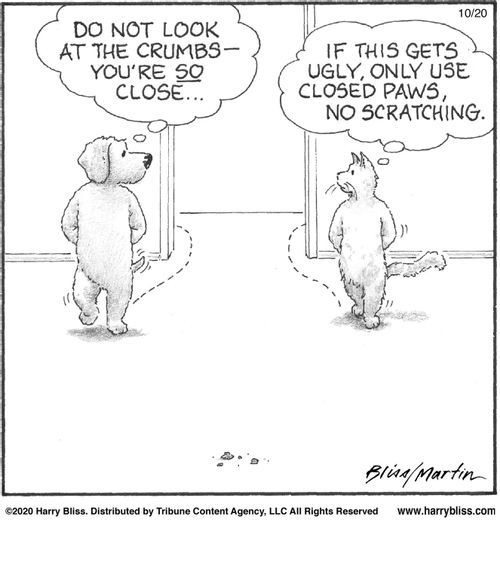 "Do not look at the crumbs—you're so close... If this gets ugly, only use closed paws, no scratching."