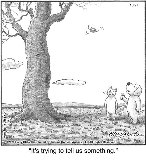 "It's trying to tell us something."