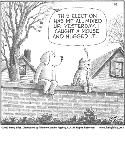 "This election has me all mixed up. Yesterday, I caught a mouse and hugged it."