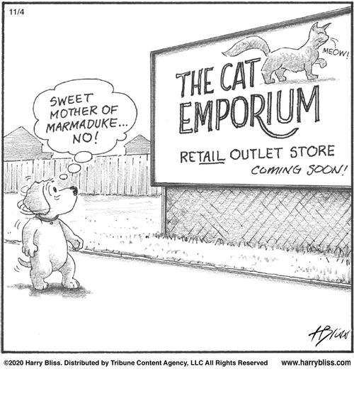 “Sweet mother of Marmaduke... no!”