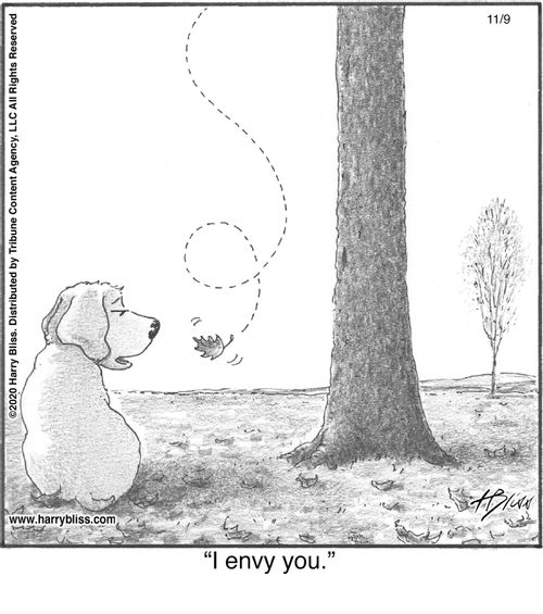 "I envy you."