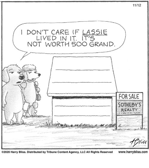 "I don't care if Lassie lived in it. It's not worth 500 grand."