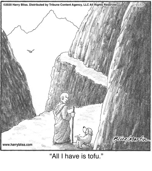 "All I have is tofu."