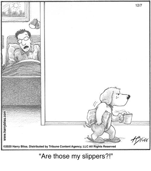 "Are those my slippers?!"