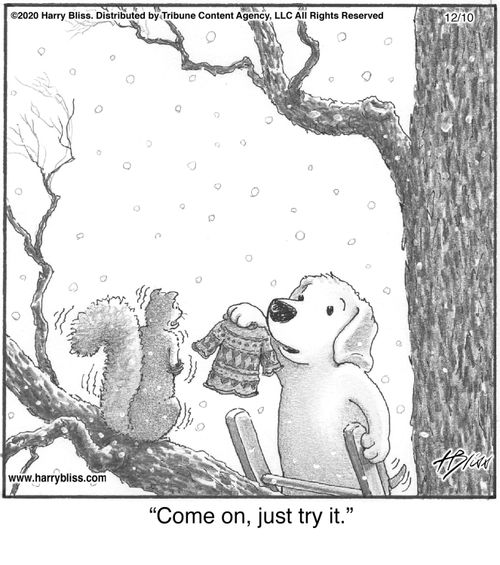 "Come on, just try it."