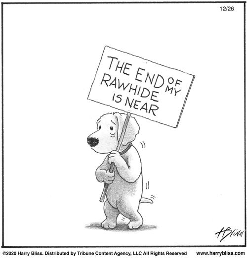 "The end of my rawhide is near."