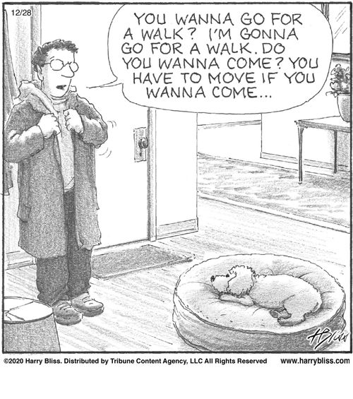 "You wanna go for a walk? I'm gonna go for a walk. Do you wanna come? You have to move if you wanna come..."