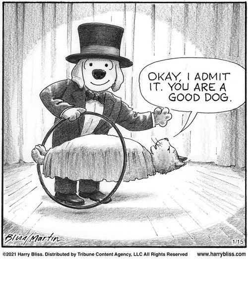 "Okay, I admit it. You are a good dog."