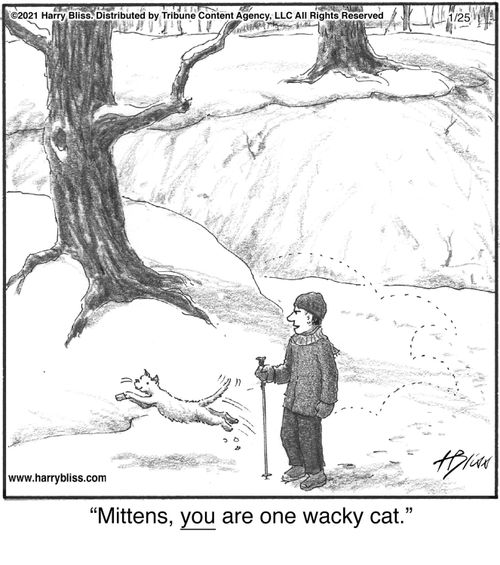 "Mittens, you are one wacky cat."