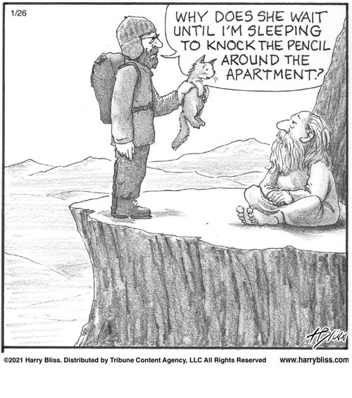 "Why does she wait until I'm sleeping to knock the pencil around the apartment?"