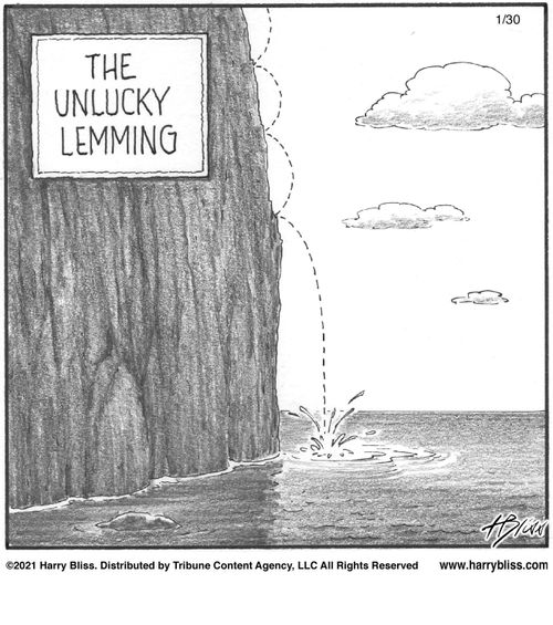 "The unlucky lemming"