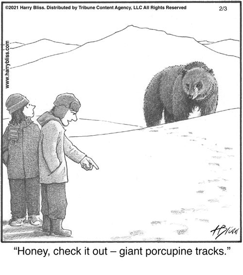 "Honey, check it out — giant porcupine tracks."