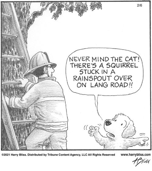 "Never mind the cat! There's a squirrel stuck in a rainspout over on Lang Road!!"
