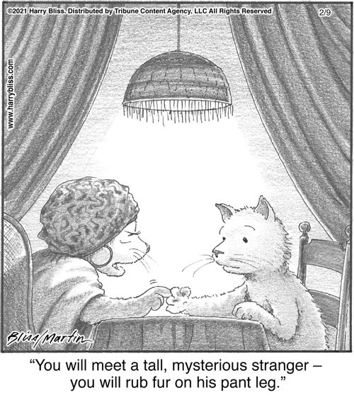 "You will meet a tall, mysterious stranger — you will rub fur on his pant leg."