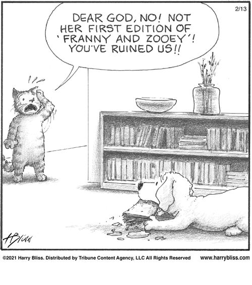 "Dear God, no! Not her first edition of 'Franny and Zooey'! You've ruined us!!"