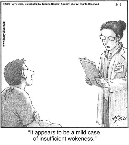 "It appears to be a mild case of insufficient wokeness."