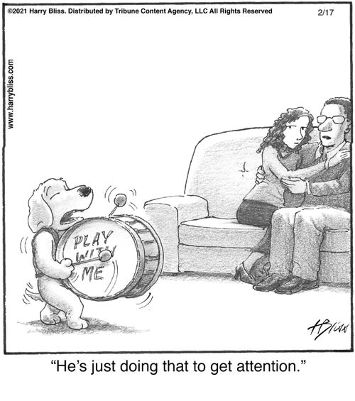 "He's just doing that to get attention."