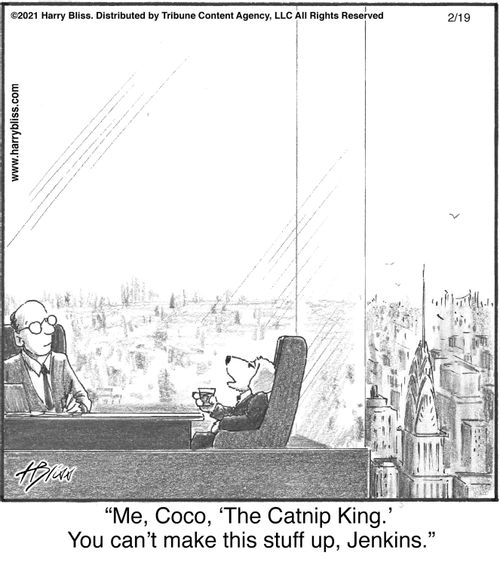 "Me, Coco, 'the Catnip King.' You can't make this stuff up, Jenkins."
