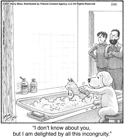 "I don't know about you, but I am delighted by all this incongruity."