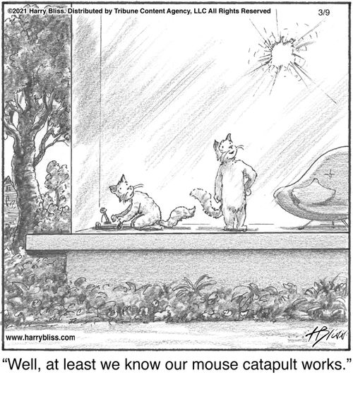 "Well, at least we know our mouse catapult works."