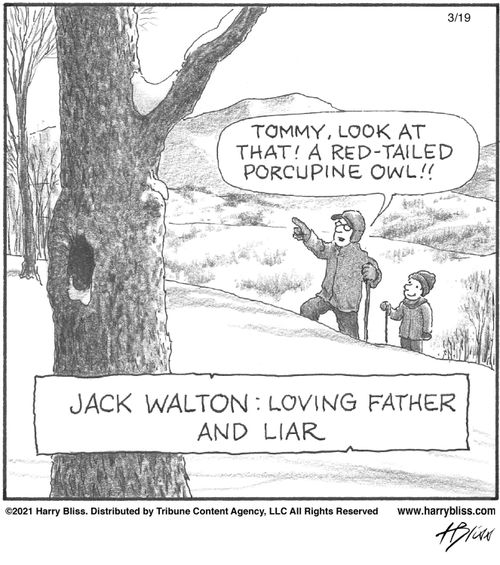 "Tommy, look at that! A red-tailed porcupine owl!!"  "Jack Walton: Loving father and liar"