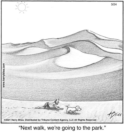 "Next walk, we’re going to the park."